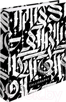 Тетрадь Brauberg Calligraphy / 404097 (240л)