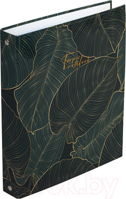 Тетрадь Brauberg Листья / 404099