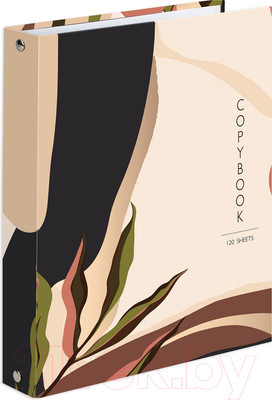 Тетрадь Brauberg Vision / 404075 (120л)