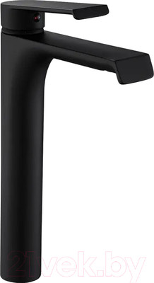 Смеситель REA Hass B9966 (черный)