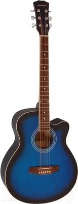 Акустическая гитара Elitaro E4020 BLS (синий)