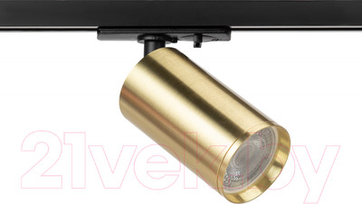 Трековый светильник ЭРА TR39-GU10 BS / Б0053311 (латунь)