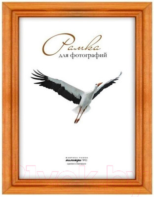 Рамка ПАЛИТРА Д17К 18x24