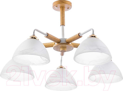 Люстра Aitin-Pro НПБ C0532/5