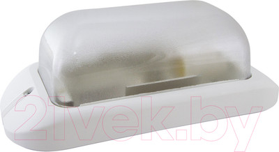 Светильник ЖКХ TDM SQ0312-0009