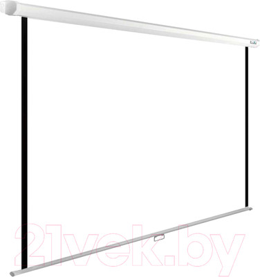 Проекционный экран Cactus CS-PSWE-220X138-WT