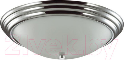 Потолочный светильник Lumion Kayla 5261/3C