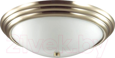 Потолочный светильник Lumion Kayla 5262/3C