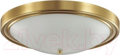 Потолочный светильник Lumion Nina 5259/4C