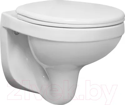 Унитаз подвесной Santeri Альфа 132564S0000B0 (с сиденьем)