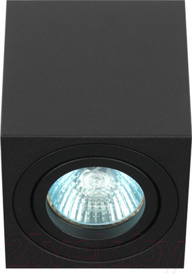 Потолочный светильник ЭРА OL22 BK / Б0054395