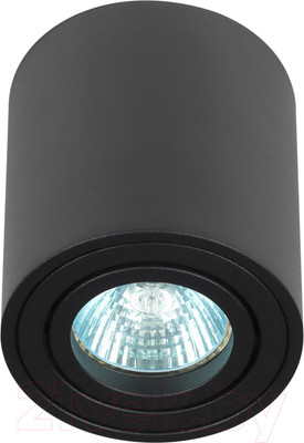 Потолочный светильник ЭРА OL21 BK / Б0054393