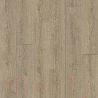 Линолеум Tarkett Praktika Bruno 1 (3.5x5м)