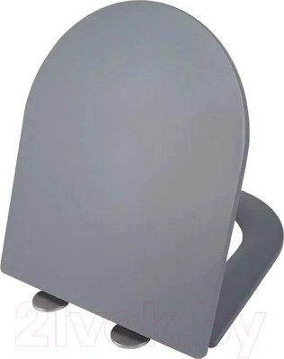 Сиденье для унитаза WeltWasser 2411 MT-GR