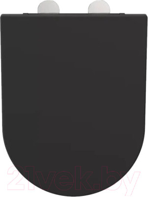 Сиденье для унитаза WeltWasser 5019 MT-BL