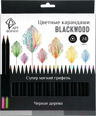 Набор цветных карандашей АртФормат AF03-051-24