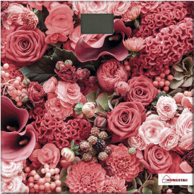 Напольные весы электронные HomeStar HS-6001L / 005206