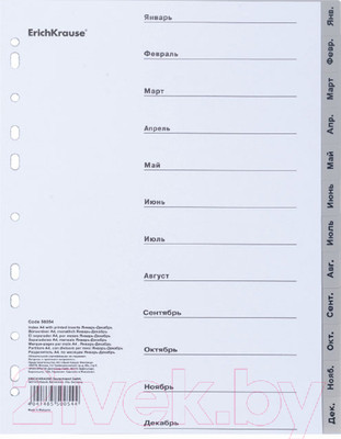 Разделитель документов Erich Krause По месяцам / 55902 (январь-декабрь)