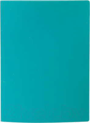 Папка для бумаг Lite NP0155-60G с файлами