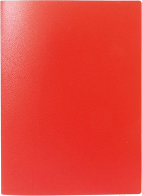Папка для бумаг Lite NP0155-60R с файлами
