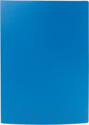 Папка для бумаг Lite NP0155-60BE с файлами