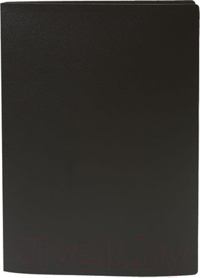 Папка для бумаг Lite NP0155-60BkE с файлами