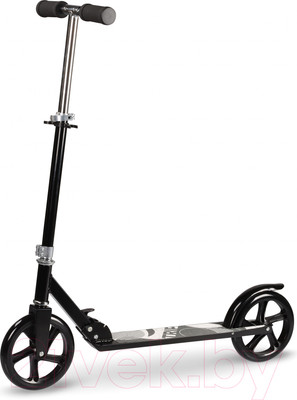 Самокат городской Indigo Sport Trip / IN253 (черный)