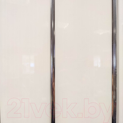 Панель ПВХ Sanrelia Люкс Потолочная 2-х секционная Серебристый (3000x240x8мм)