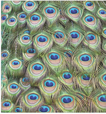 Набор текстиля для спальни JoyArty bcsl_12568 (220x235)