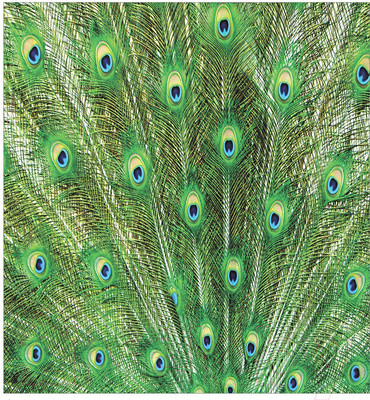 Набор текстиля для спальни JoyArty bcsl_12569 (220x235)