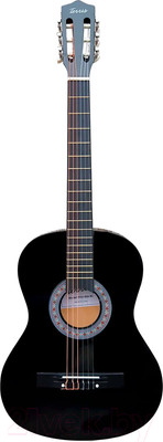Акустическая гитара Terris TC-3801A BK