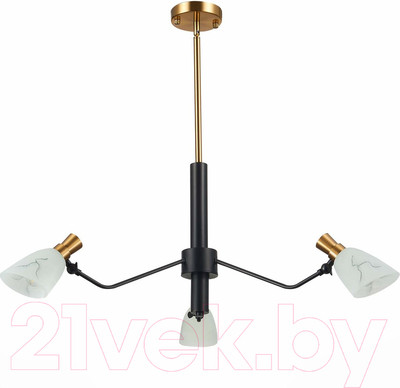 Люстра Evoluce SLE205403-03 (черный/латунь/белый)