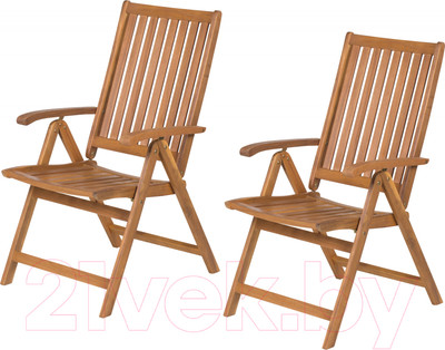 Комплект садовой мебели Fieldmann FDZN 4001-T (2шт)