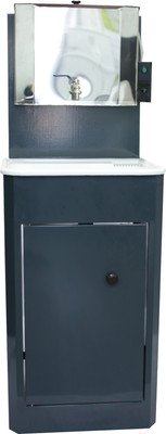 Умывальник для дачи Петромаш С водонагревателем / ЭВБО-15Н (мокрый асфальт/мойка пластик)