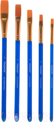 Набор кистей Пифагор 200888 (5шт)