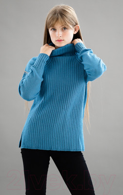 Джемпер Polesie 0С8593-Д43 (р.170-84, голубой)