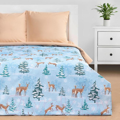 Комплект постельного белья Этель Зимнее волшебство / 4935588