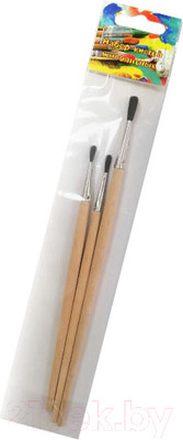 Набор кистей Ямполь-Слуцк 5.016