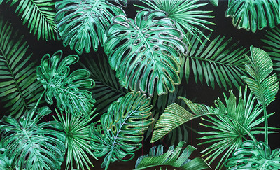 Картина Декарт Листья изумрудная монстера 8Л3186 (на холсте)