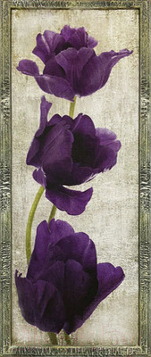 Картина Декарт Фиолетовые тюльпаны-1 8Л3401 (в раме)