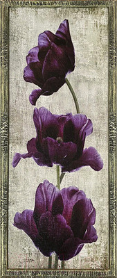 Картина Декарт Фиолетовые тюльпаны-2 8Л3402 (в раме)