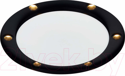 Точечный светильник ST Luce ST706.438.30