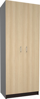 Шкаф МДК СК2 2-х створчатый 1980x800x490 (венге/дуб млечный)