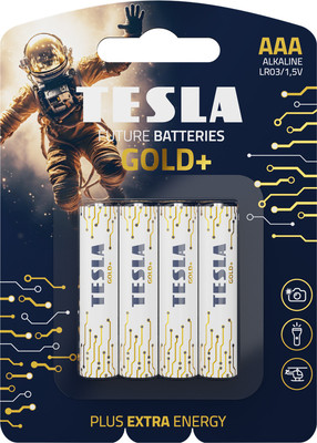 Комплект батареек Tesla Batteries Gold+ AAA LR03 1.5V / 1099137207 (4шт)