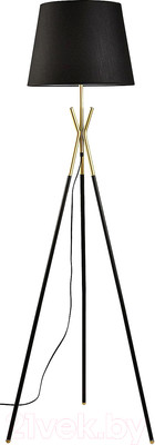 Торшер Lussole LSP-0616