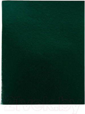 Тетрадь Lite №2 CBBVА4-96Gr (96л)