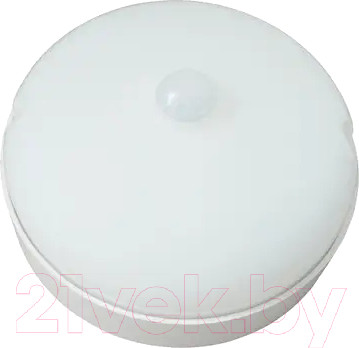 Светильник уличный Uniel Sensor UL-00008488 / ULW-Q216