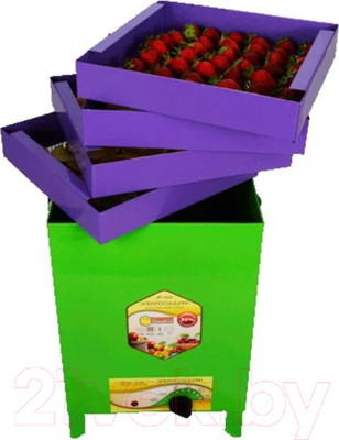 Сушильный шкаф для овощей и фруктов УЗБИ Сухофрукт В02 / 15860