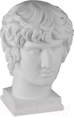 Гипсовая фигура художественная Мастерская Экорше Голова Антиноя / 10-102