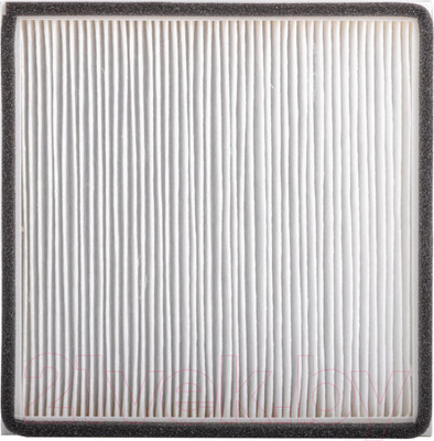 Фильтр для климатического комплекса Boneco Air-O-Swiss АН300 Pollen Н300